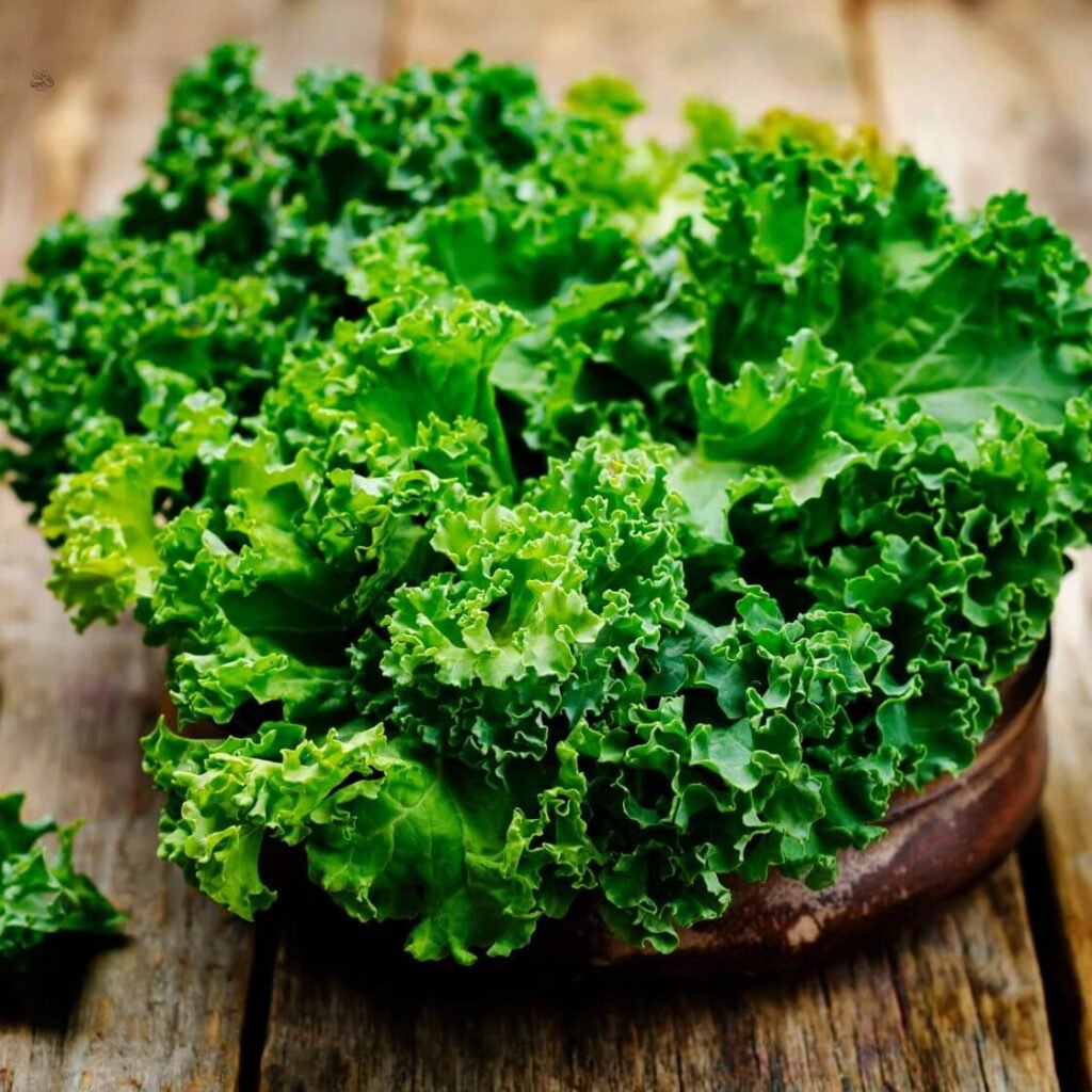 10 Vegan Foods High in Calcium for Strong Bones 4 Kale