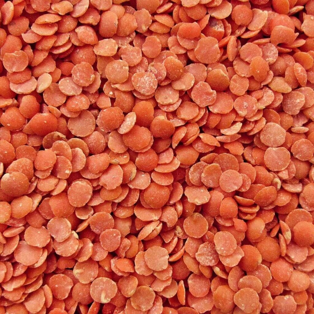 Top 10 Protein-Rich Vegan Foods for a Stronger, Healthier You! 2 Lentils