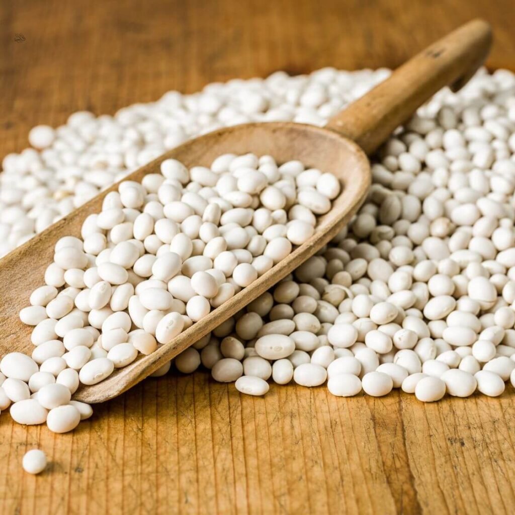 10 Vegan Foods High in Calcium for Strong Bones 6 White Beans